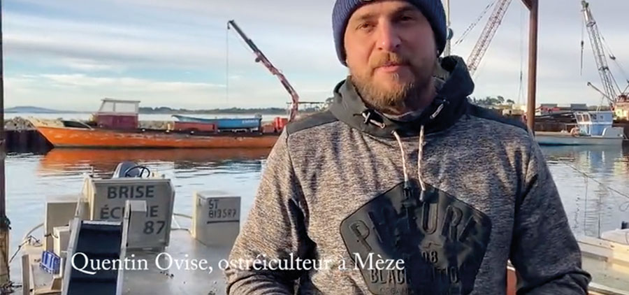 Quentin Ovise, ostréiculteur à Mèze interview photo de la vidéo de l'article de midi libre