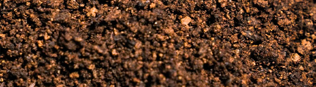 terralba article blog culture biologique lombricompost photo