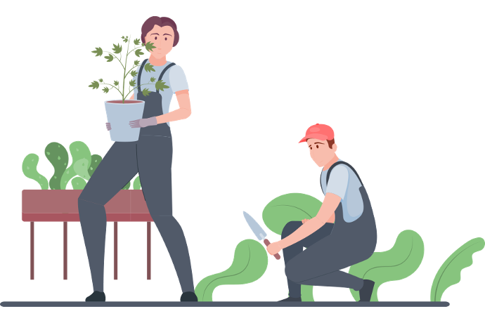 Illustration collectivité Terralba