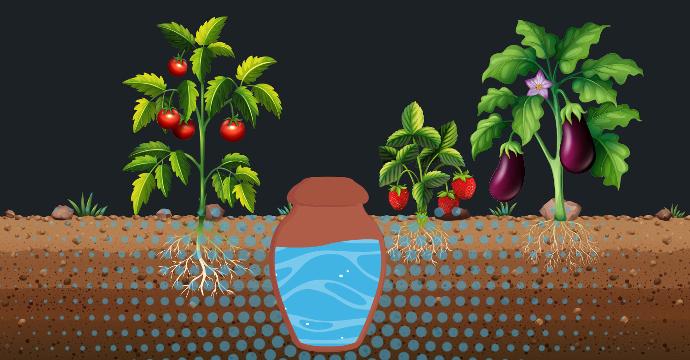 Qu’est-ce qu’une Ollas?