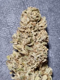 FLEURS CéBéDé Supersoil Orange Bud 2025