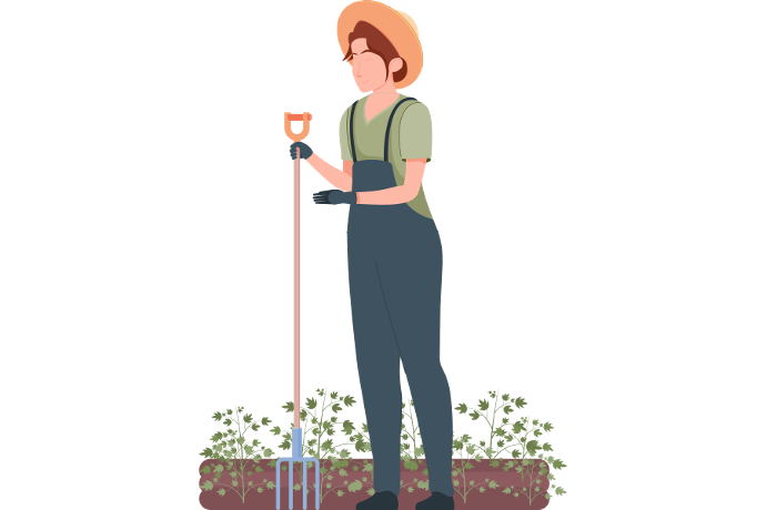 Illustration particulier Terralba