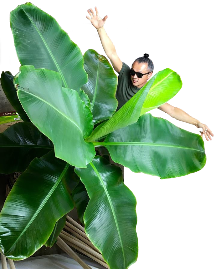 Photo de Xavier le fondateur de Terralba devant une plante en culture bio